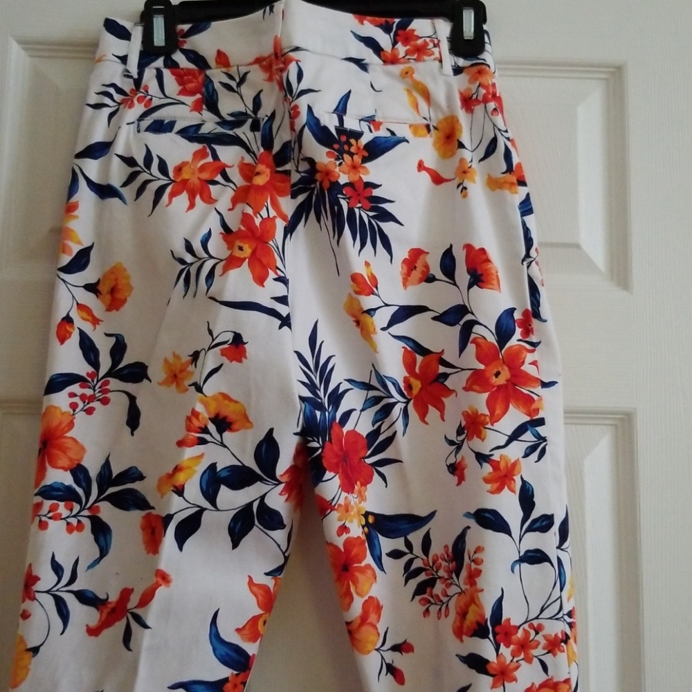 Capari pants - Picture 7 of 7